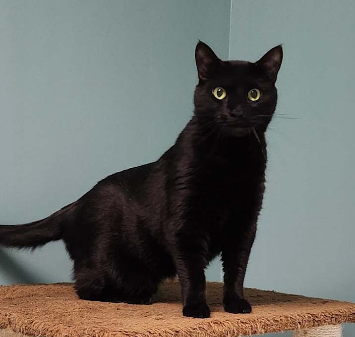 Photo of Ivy