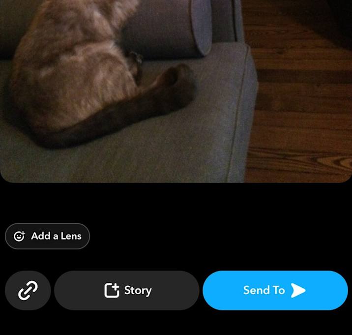 Photo of Linus