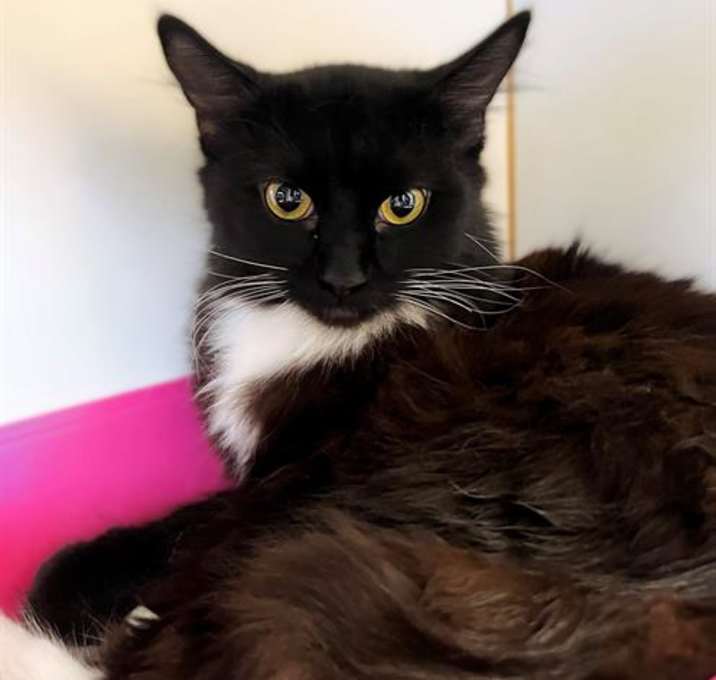 Photo of WEDNESDAY