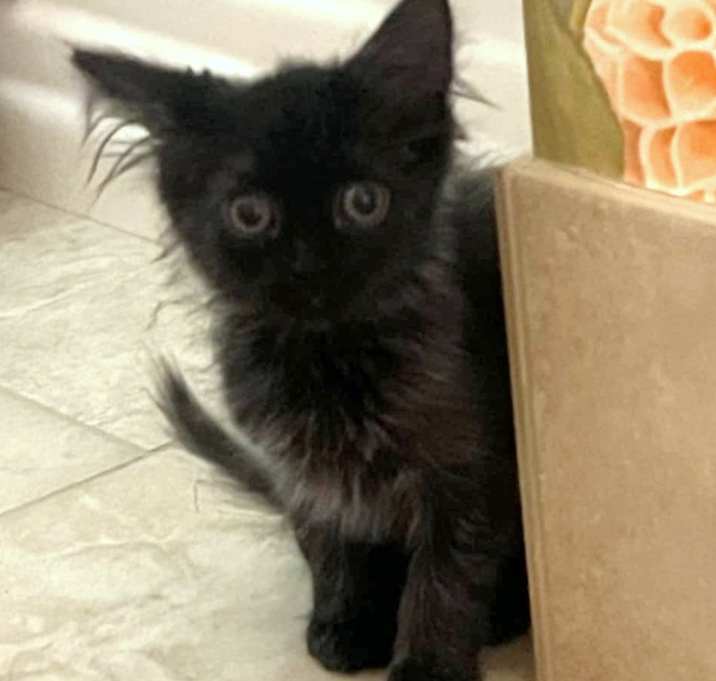 Photo of Fritz