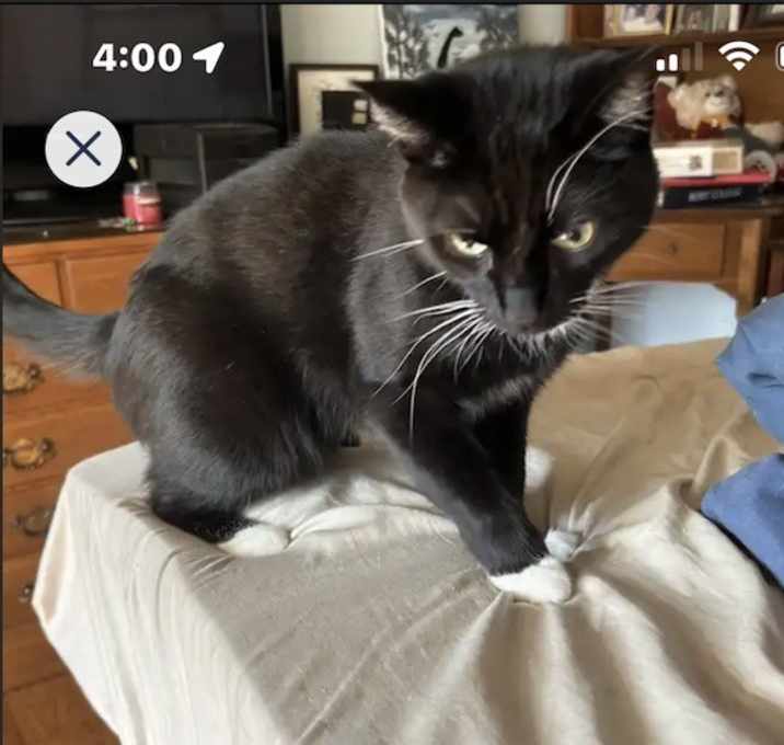 Photo of Mr. Eko