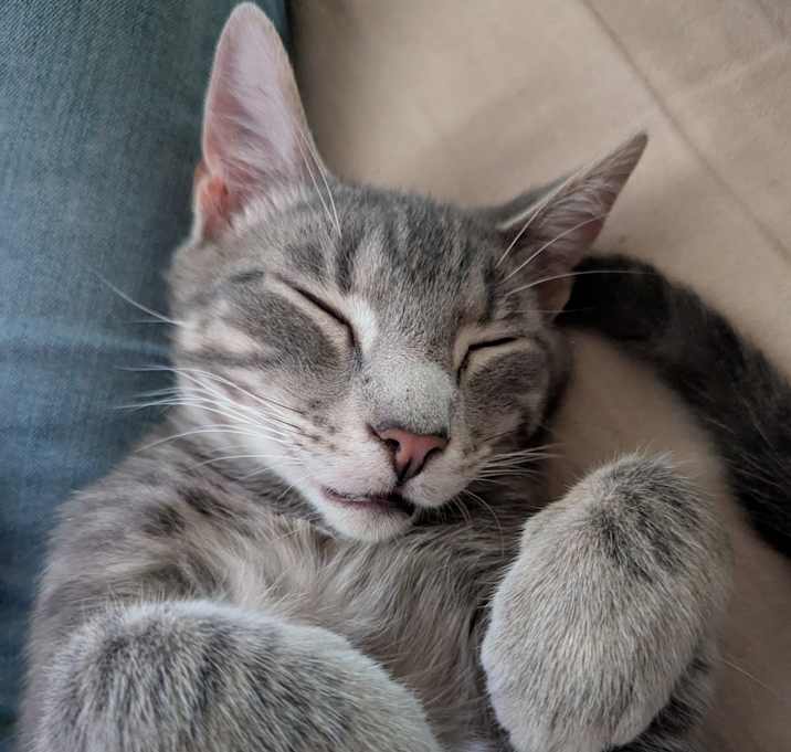 Photo of Wesley