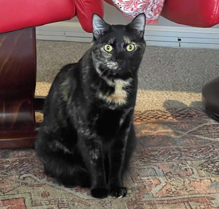 Photo of Kiki