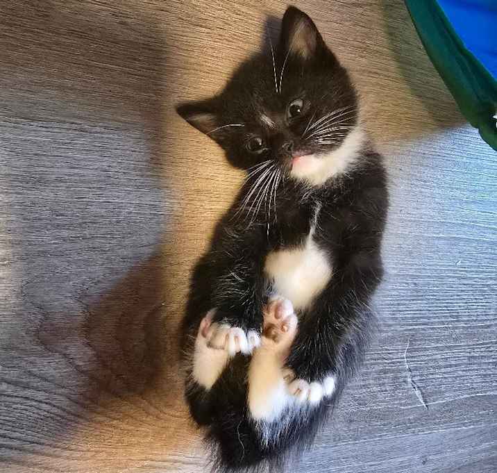 Photo of Stripe