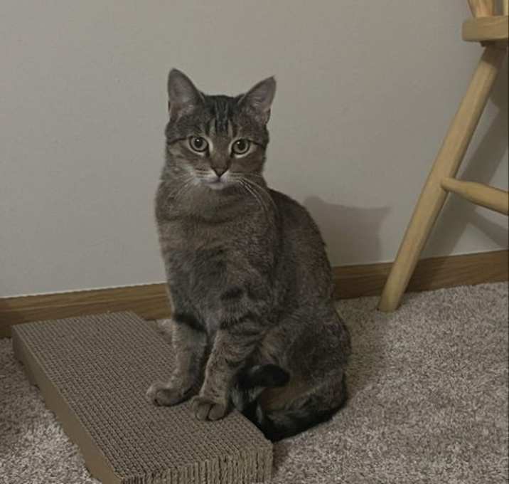 Photo of Pippa