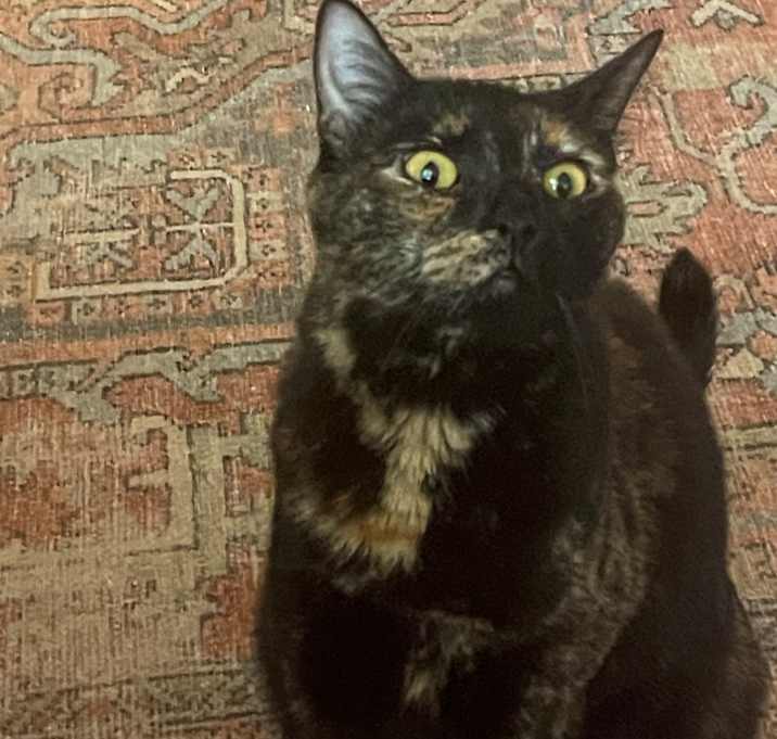 Photo of Mimi