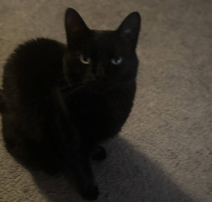 Photo of Salem