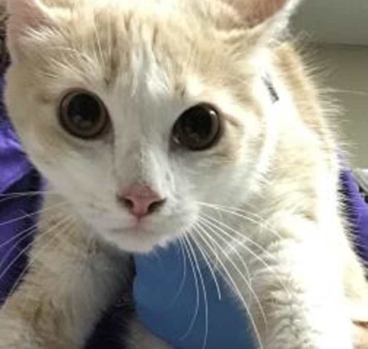 Photo of WILMA
