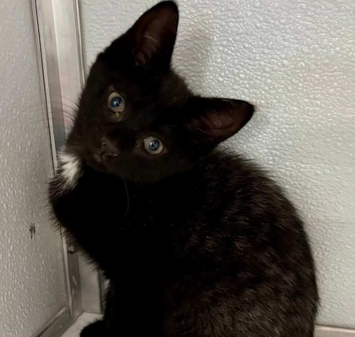 Photo of Stove