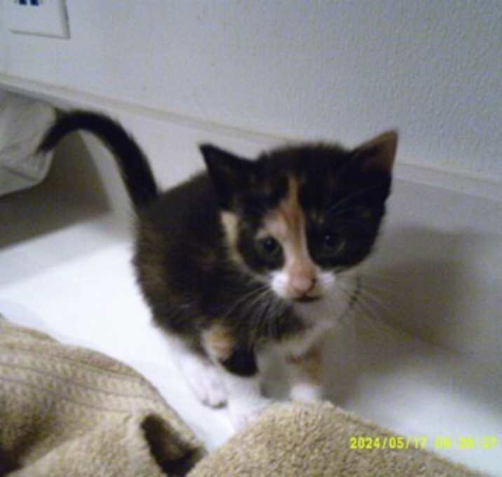 Photo of Elvira