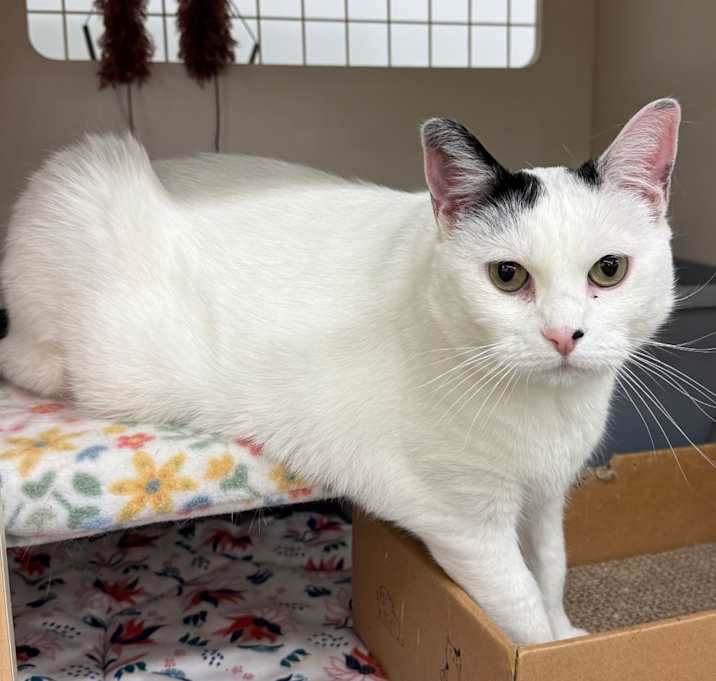 Photo of Dottie