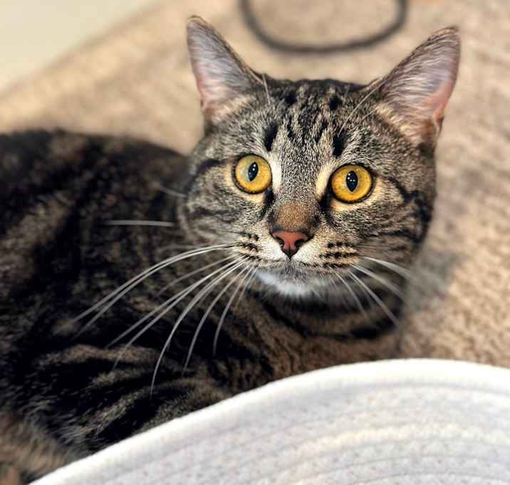 Photo of Maggie Mae 