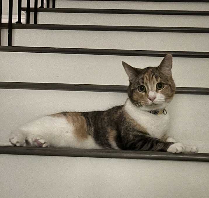 Photo of Aura
