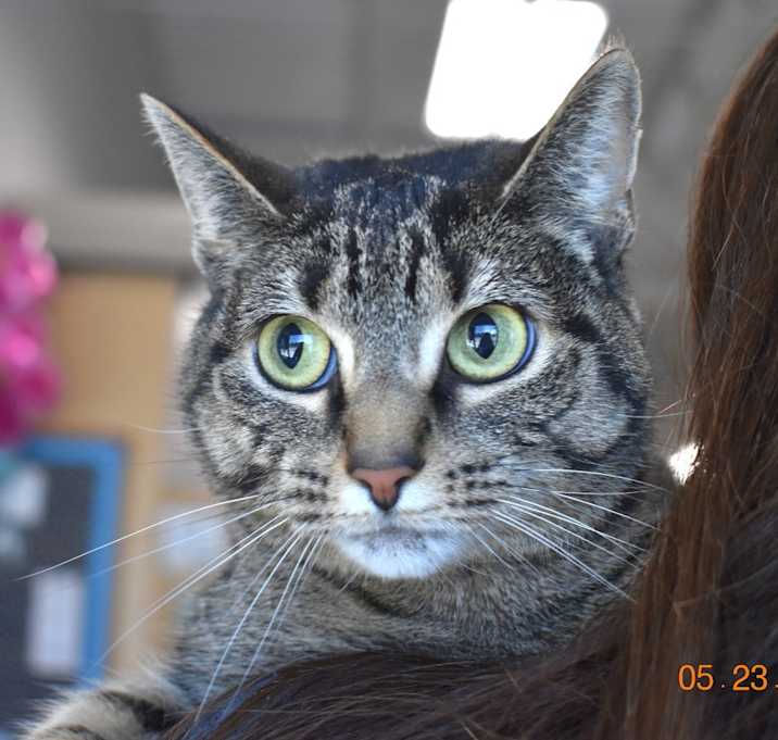 Photo of Taki