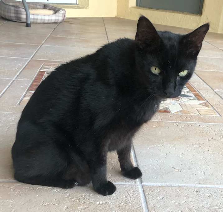 Photo of Boo