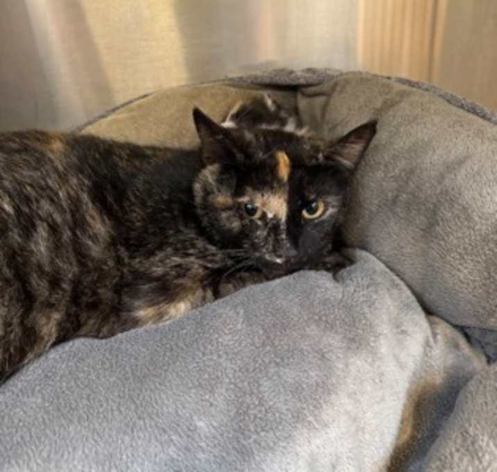 Photo of Ethel