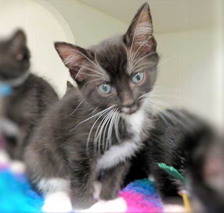 Photo of THELMA