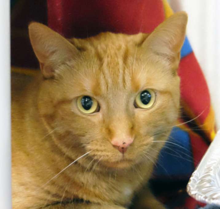 Photo of Benny