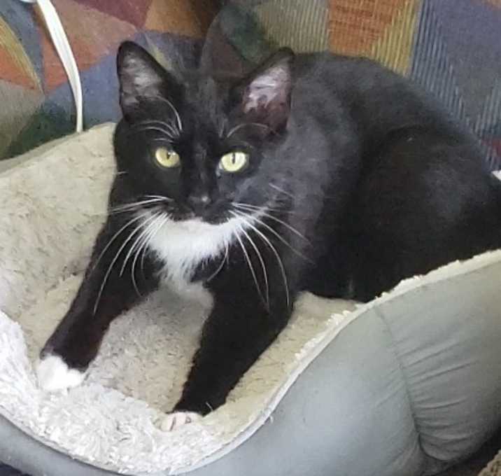 Photo of Poco