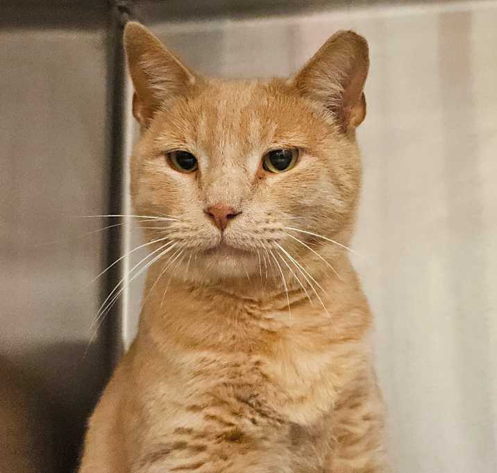 Photo of Tyson