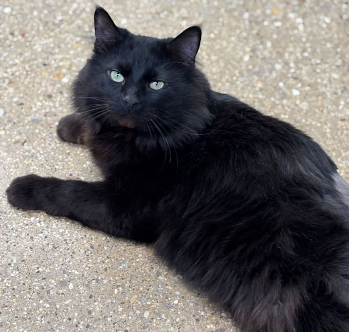 Photo of Eubie
