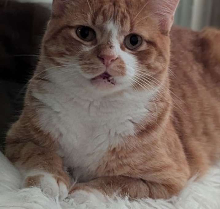 Photo of Clyde