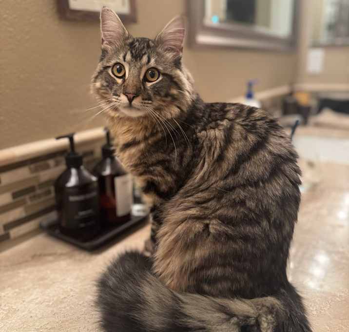 Photo of Leo