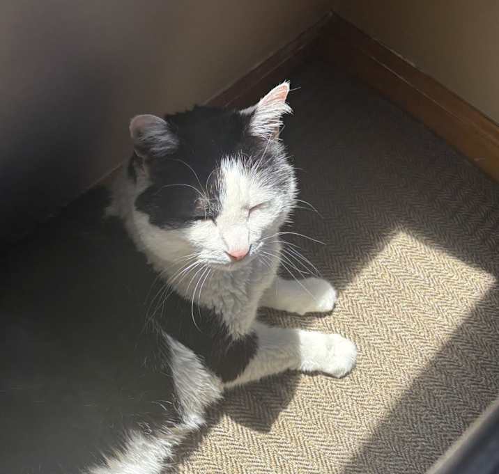 Photo of Sally