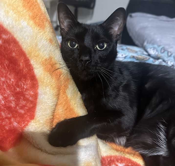 Photo of Todd