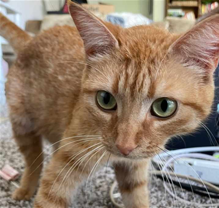 Photo of SWEETUMS