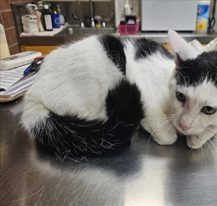 Photo of SMOOGLE