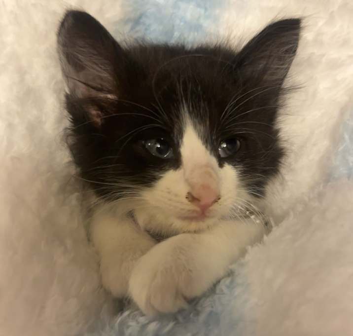 Photo of Wendy