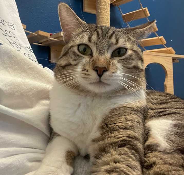 Photo of Little Man