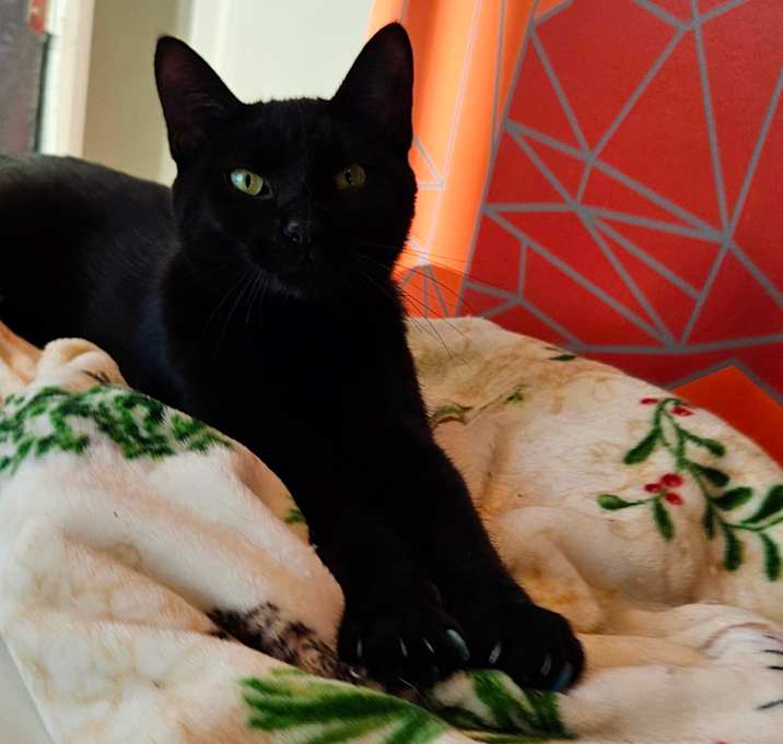 Photo of Nita