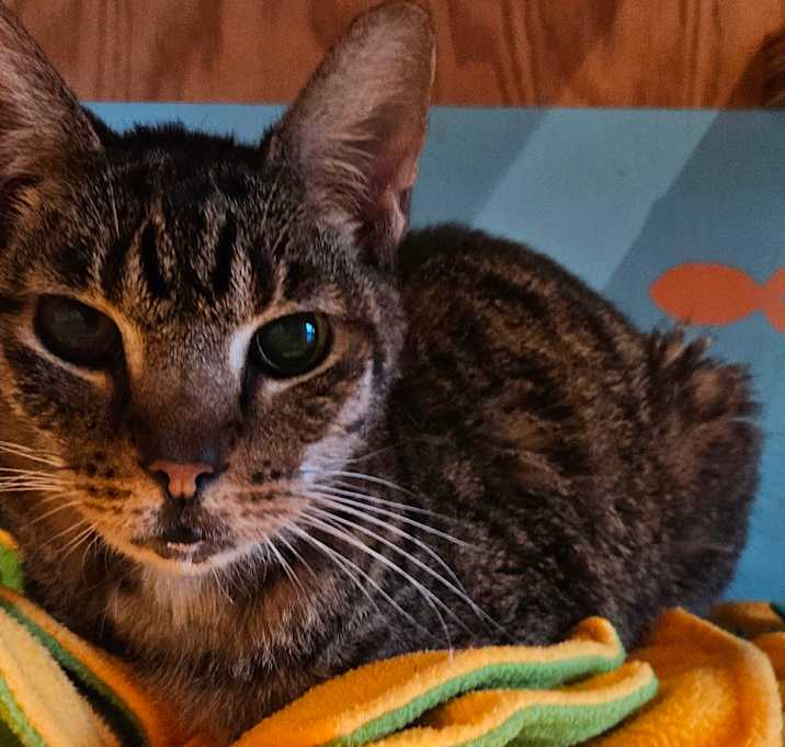 Photo of Mao