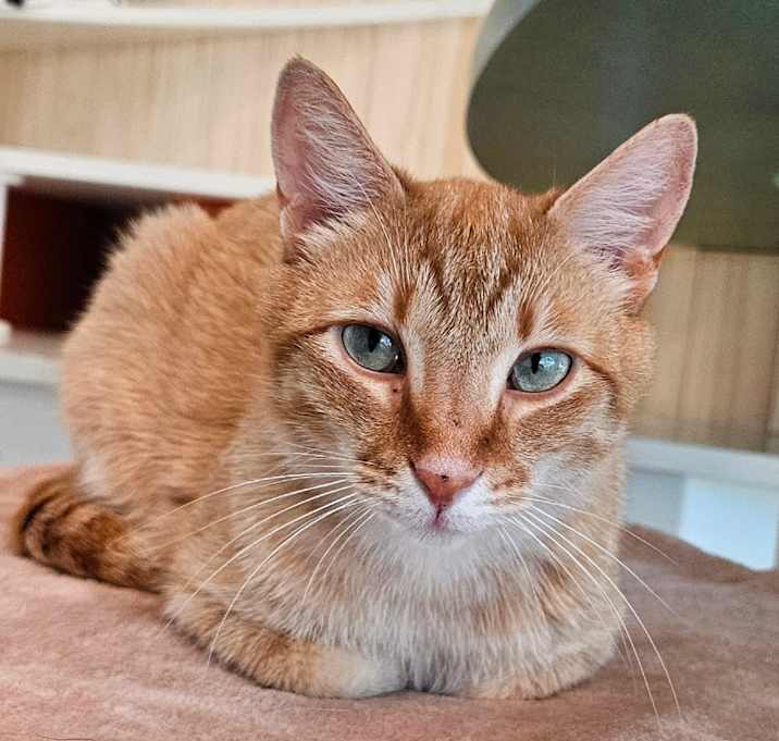 Photo of Reno