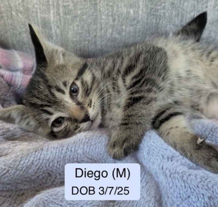 Photo of Diego