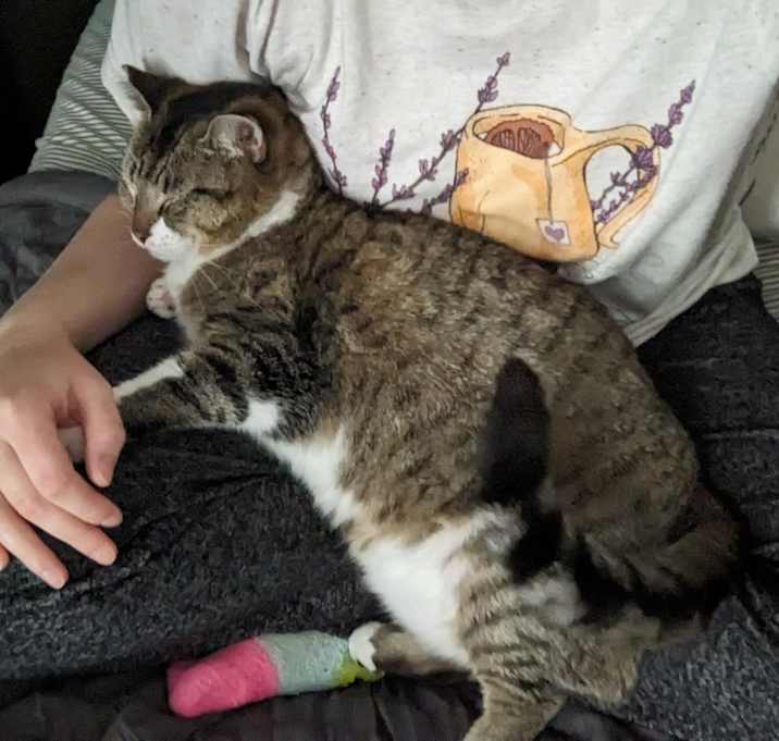 Photo of Frankie
