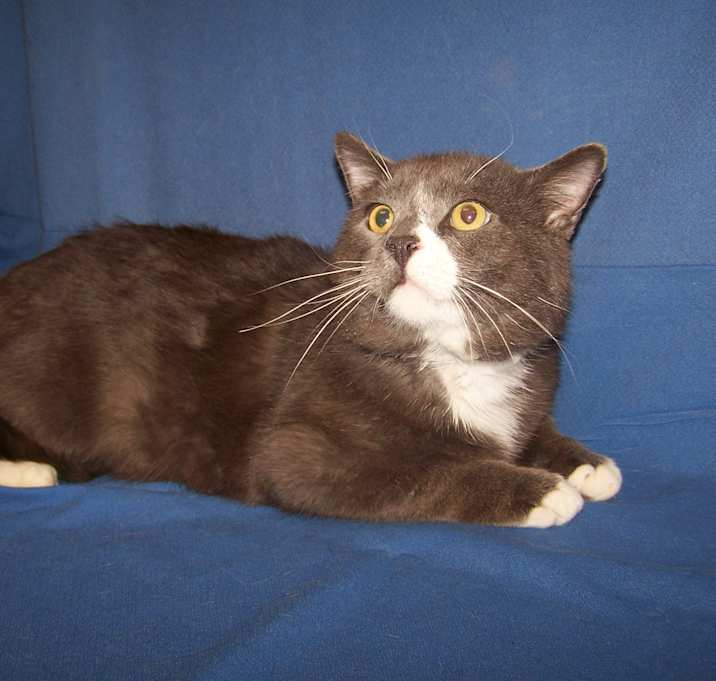 Photo of DaVinci