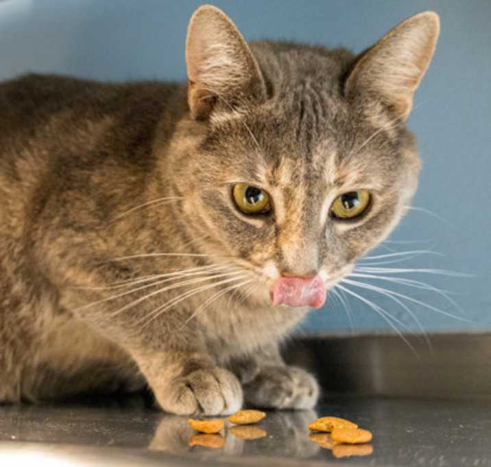 Photo of Nakita