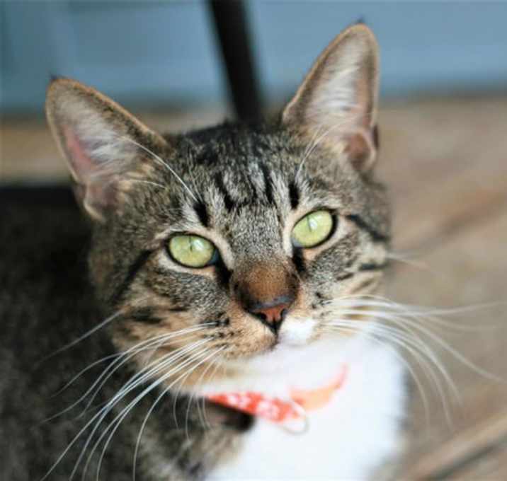Photo of Duke