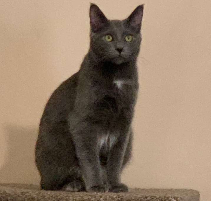 Photo of Twilight