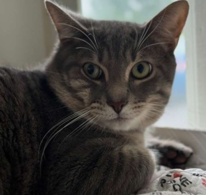 Photo of Emory