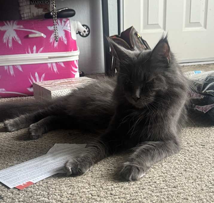 Photo of Bonnie
