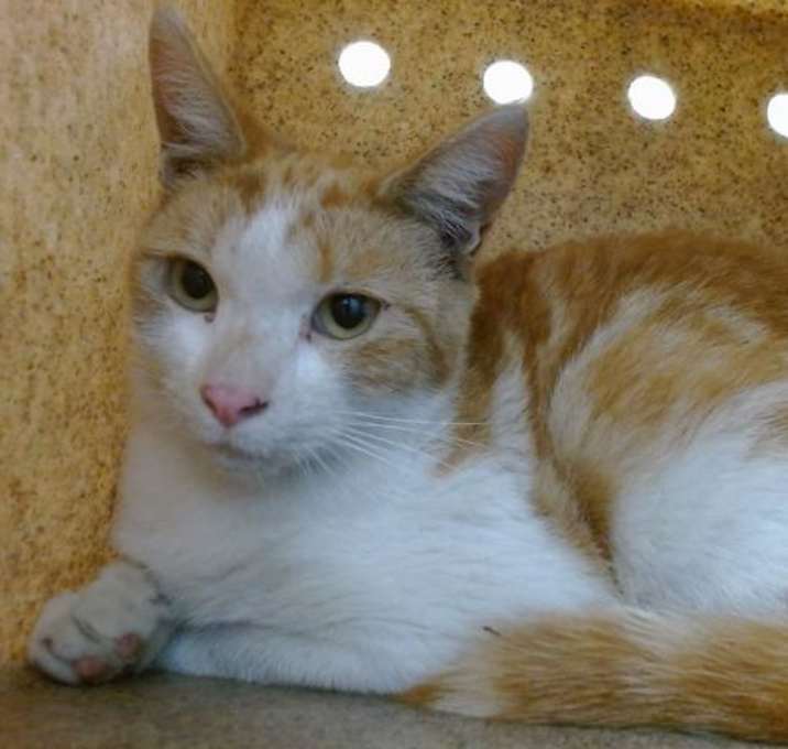 Photo of SPYDER