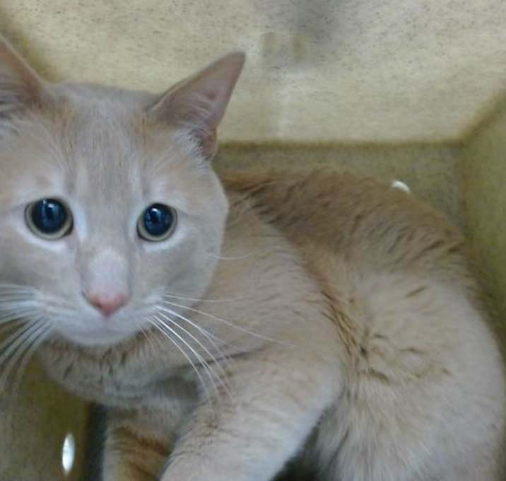 Photo of TAILS