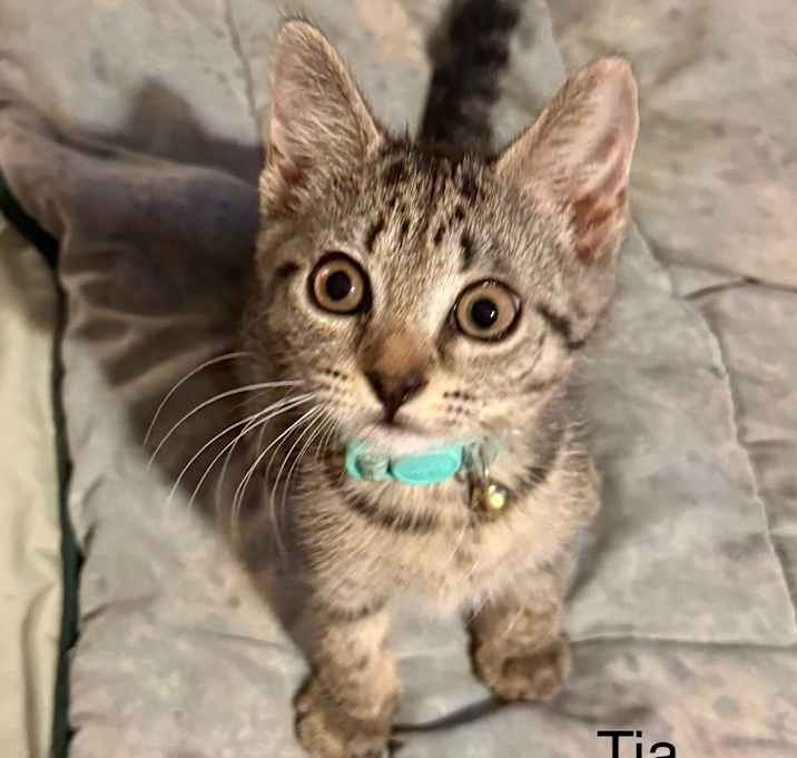 Photo of Tia