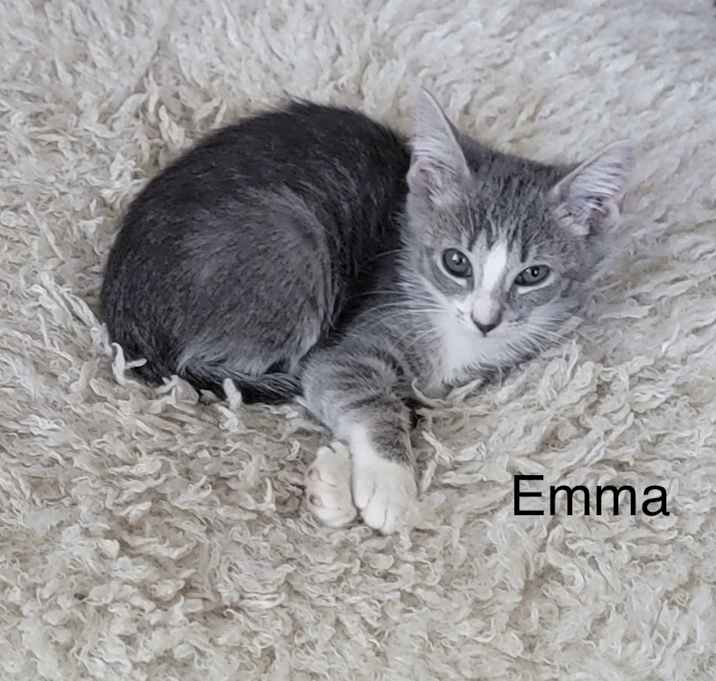 Photo of Emma