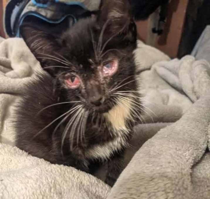 Photo of Mojito