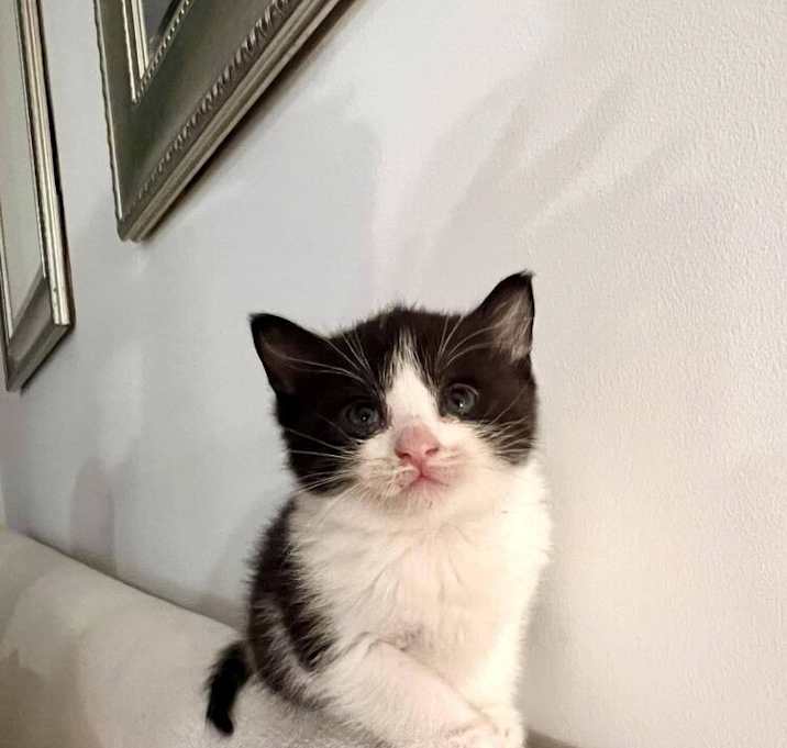 Photo of Kendall